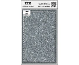TTP-4601