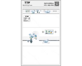 TTP-48601