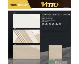 VITTO 2564-2566