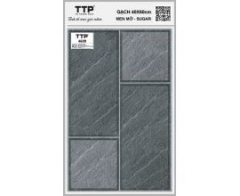 TTP-4609