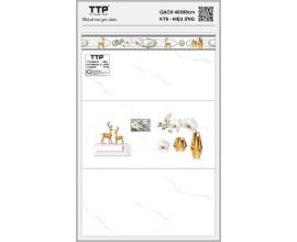 TTP-48602C