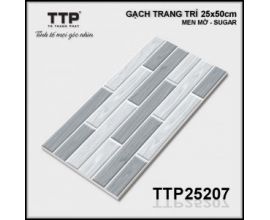 TTP-25207