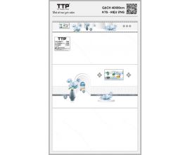 TTP-48601C