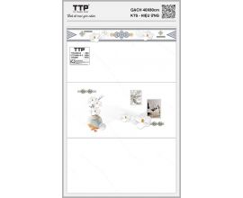 TTP-48601C