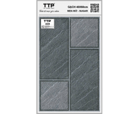 TTP-4609